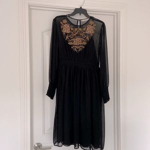 Zara Long Sleeve Embroidered Dress (sheer)